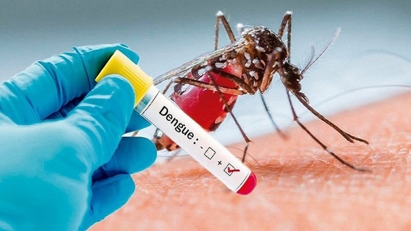 [건강뉴스] Dengue fever is on the rise in Quang Nam province, Hanoi, strengthens anger prevention and control